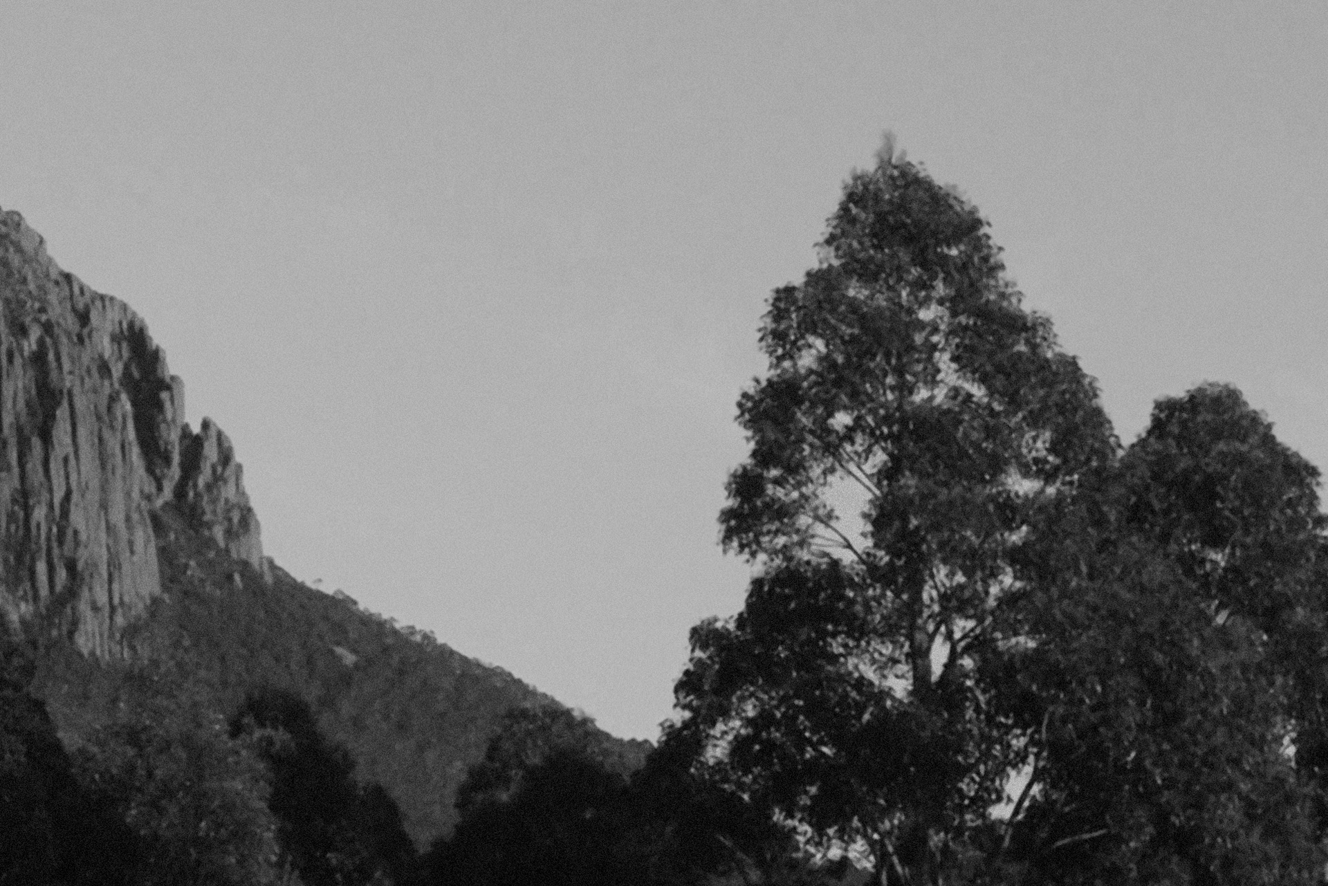 Landscape framed with a mountain and trees